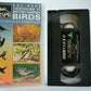 British Garden Birds: By David Attenborough - BBC-RSPB Videoguide - Pal VHS-