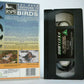 British Garden Birds: By David Attenborough - BBC-RSPB Videoguide - Pal VHS-