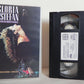 Gloria Estefan And Miami Sound Machine - Homecoming Concert - Music - Pal VHS-