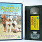 Homeward Bound 2: Lost In San Francisco - Adventure Comedy - Children's - VHS-