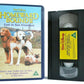 Homeward Bound 2: Lost In San Francisco - Adventure Comedy - Children's - VHS-