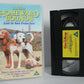 Homeward Bound 2: Lost In San Francisco - Walt Disney - Family Comedy - Pal VHS-