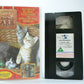 Kittens In The Kitchen/Pony In The Porch - Animal Ark - Children's - Pal VHS-