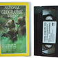 National Geographic Video : Giant Bears Of Kodiak Island - National Geographic Society - PV2251 - Drama - Pal - VHS-