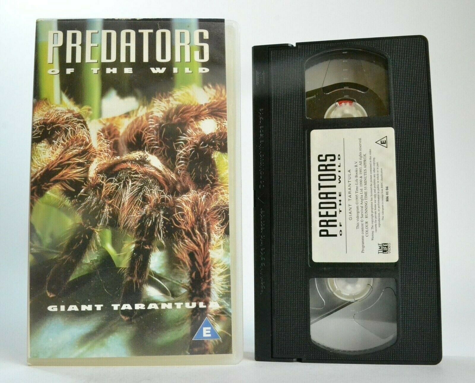 Predators Of The Wild: Giant Tarantula - Amazon Jungle - [Carolione Brett] - VHS-