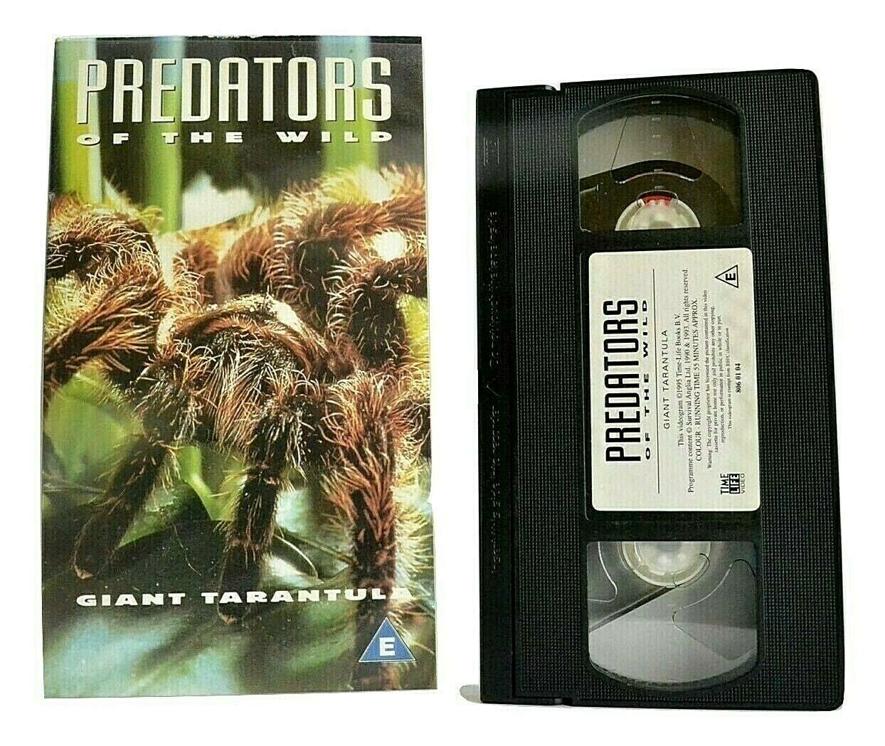 Predators Of The Wild: Giant Tarantula - Amazon Jungle - [Carolione Brett] - VHS-