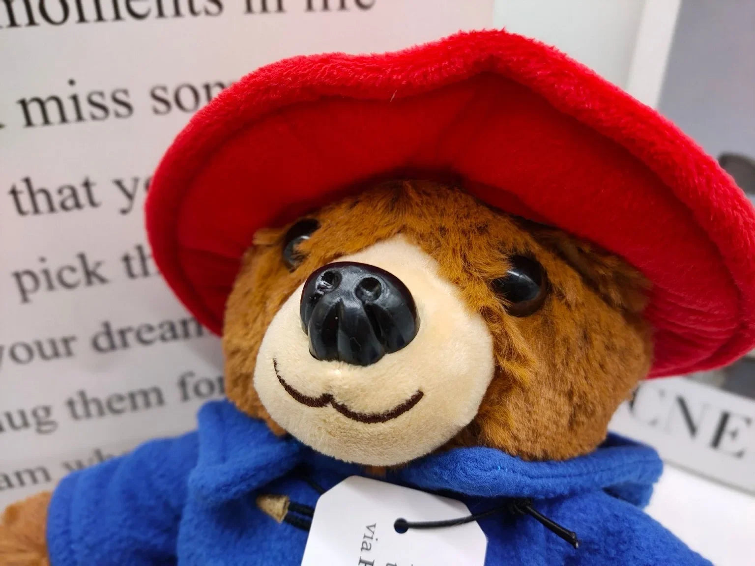 Paddington Bear Plush Dolls - Britains Favourite Bear - Stuffed Teddy 29cm - Lovely Quality Children Christmas Birthday Gifts-29CM-29cm-