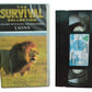 Survival Lions (The Survival Collection) - Warner Home Video - SO36107 - Drama - Pal - VHS-