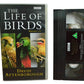 The Life Of Birds (Episodes 1 - 4) - David Attenborough - BBC Video - BBCV6639 - Drama - Pal - VHS-