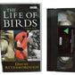 The Life Of Birds (Episodes 8 - 10) - David Attenborough - BBC Video - BBCV6641 - Drama - Pal - VHS-