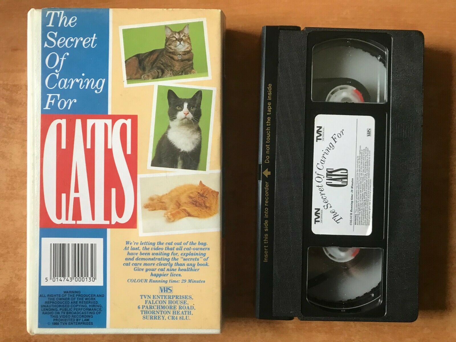 The Secrets Of Caring For Cats (TVN Enterprises): Demonstrating Video - Pal VHS-