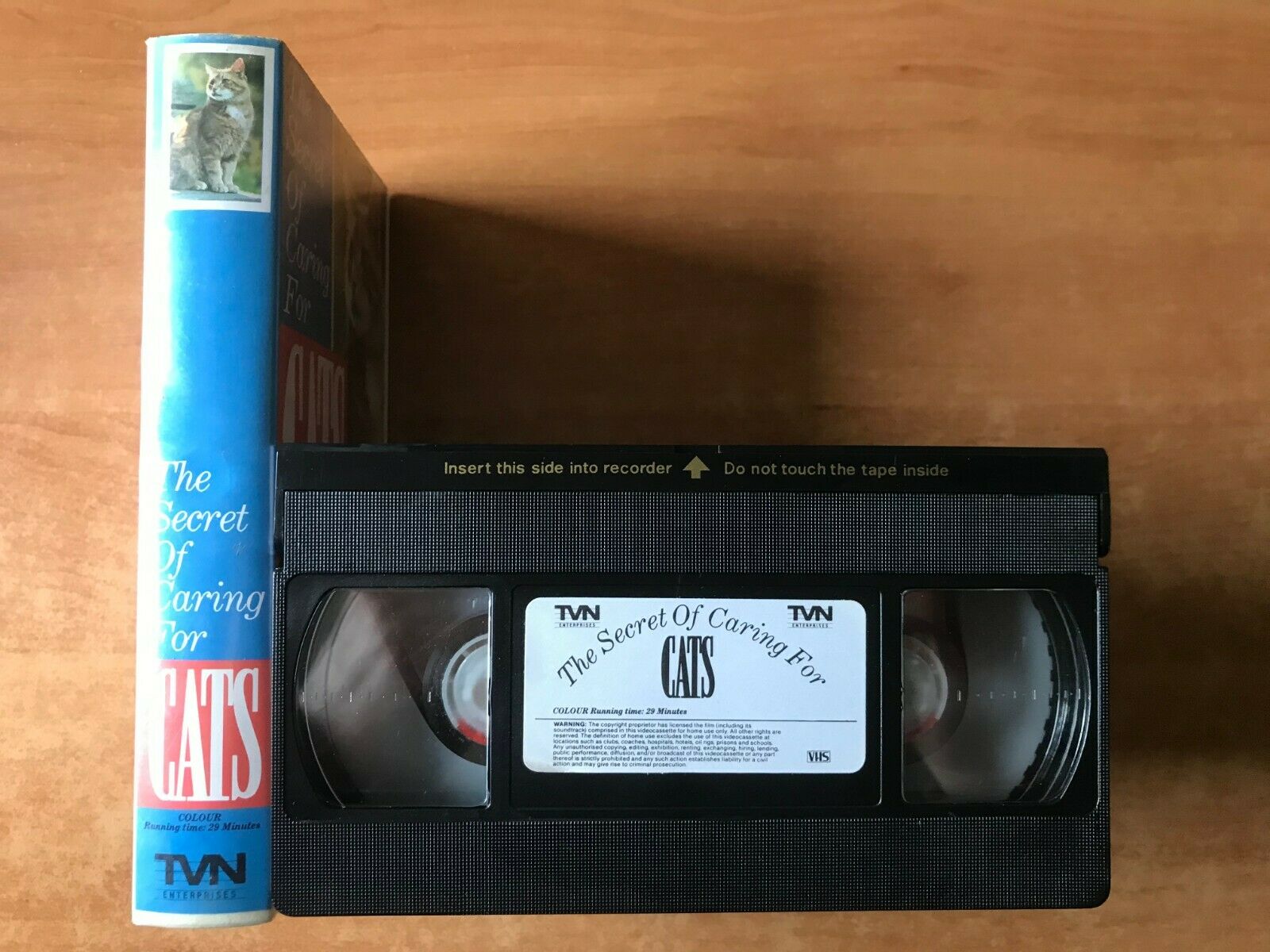 The Secrets Of Caring For Cats (TVN Enterprises): Demonstrating Video - Pal VHS-