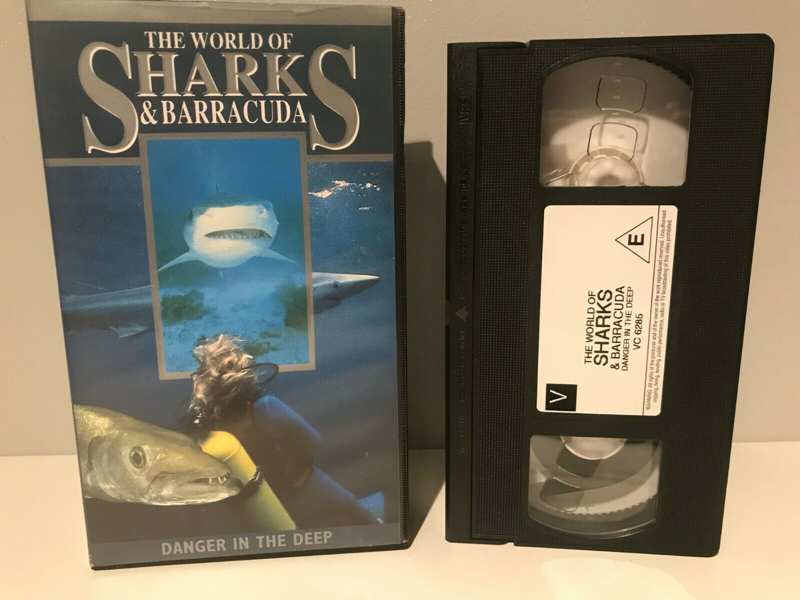 The World Of Sharks & Barracuda [Jordan Klein] Bahamas - Silky Shark - Pal VHS-