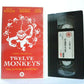 Twelve Monkeys: Time Travel - Bruce Willis - Brad Pitt - Action (1995) - VHS-