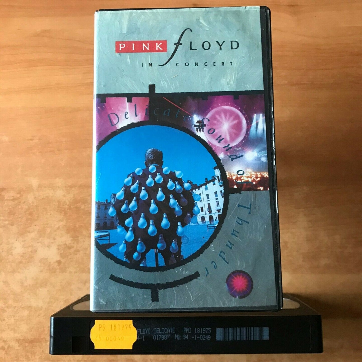 Pink Floyd: In Concert [Delicate Sound Of Thunder] David Gilmour - Music - VHS-