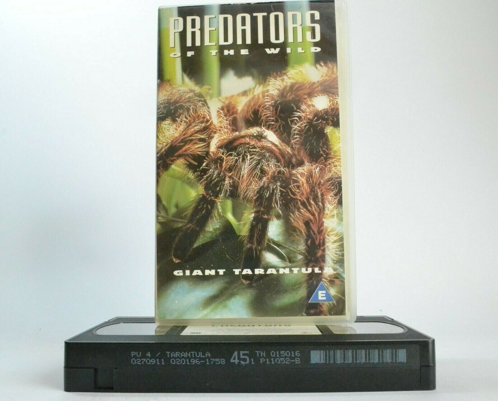 Predators Of The Wild: Giant Tarantula - Amazon Jungle - [Carolione Brett] - VHS-