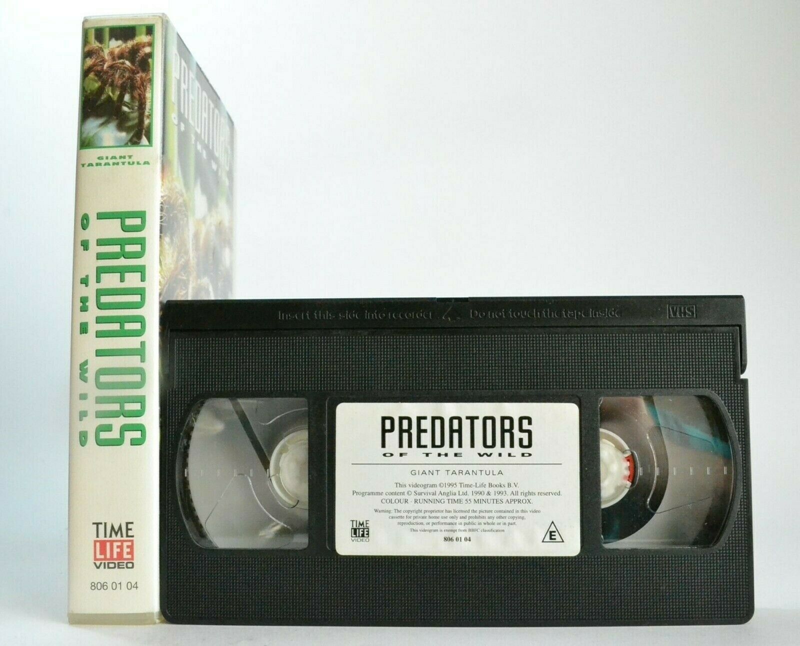 Predators Of The Wild: Giant Tarantula - Amazon Jungle - [Carolione Brett] - VHS-