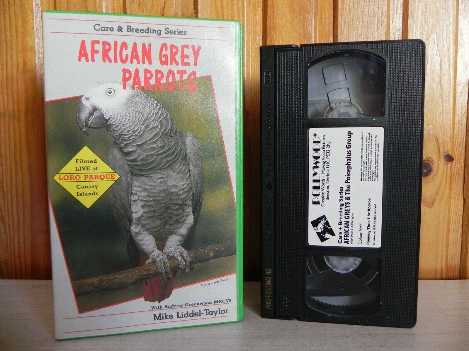 African Grey Parrots - Care And Breeding Series - Adult Senegal Parrots - VHS-