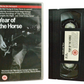 Year Of The Horse - Jim Jarmusch - Artificial Eye - ART168 - Music - Pal - VHS-